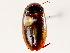  ( - BIOUG73656-A03)  @11 [ ] CreativeCommons - Attribution (2021) CBG Photography Group Centre for Biodiversity Genomics