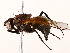  ( - BIOUG73656-H09)  @11 [ ] CreativeCommons - Attribution (2021) CBG Photography Group Centre for Biodiversity Genomics