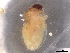  ( - BIOUG76578-H10)  @11 [ ] CreativeCommons - Attribution (2021) CBG Photography Group Centre for Biodiversity Genomics