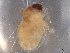  ( - BIOUG76578-H11)  @11 [ ] CreativeCommons - Attribution (2021) CBG Photography Group Centre for Biodiversity Genomics