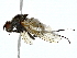  ( - BIOUG89995-B08)  @11 [ ] CreativeCommons - Attribution (2022) CBG Photography Group Centre for Biodiversity Genomics