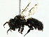  ( - BIOUG97714-A02)  @11 [ ] CreativeCommons - Attribution (2022) CBG Photography Group Centre for Biodiversity Genomics