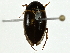  ( - BIOUG91425-A02)  @11 [ ] CreativeCommons - Attribution (2022) CBG Photography Group Centre for Biodiversity Genomics