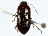  ( - BIOUG91425-B05)  @11 [ ] CreativeCommons - Attribution (2022) CBG Photography Group Centre for Biodiversity Genomics