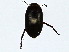  ( - BIOUG91425-C09)  @11 [ ] CreativeCommons - Attribution (2022) CBG Photography Group Centre for Biodiversity Genomics