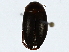  ( - BIOUG91425-F08)  @11 [ ] CreativeCommons - Attribution (2022) CBG Photography Group Centre for Biodiversity Genomics