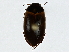  ( - BIOUG91425-G02)  @11 [ ] CreativeCommons - Attribution (2022) CBG Photography Group Centre for Biodiversity Genomics