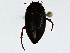  ( - BIOUG91425-H11)  @11 [ ] CreativeCommons - Attribution (2022) CBG Photography Group Centre for Biodiversity Genomics