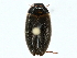  ( - BIOUG97714-E12)  @11 [ ] CreativeCommons - Attribution (2022) CBG Photography Group Centre for Biodiversity Genomics