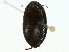  ( - BIOUG97714-G01)  @11 [ ] CreativeCommons - Attribution (2022) CBG Photography Group Centre for Biodiversity Genomics