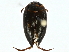  ( - BIOUG97714-G02)  @11 [ ] CreativeCommons - Attribution (2022) CBG Photography Group Centre for Biodiversity Genomics