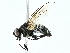  ( - BIOUG97715-D10)  @11 [ ] CreativeCommons - Attribution (2022) CBG Photography Group Centre for Biodiversity Genomics