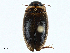  ( - BIOUG99517-F06)  @11 [ ] CreativeCommons - Attribution (2023) CBG Photography Group Centre for Biodiversity Genomics