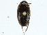  ( - BIOUG99517-G03)  @11 [ ] CreativeCommons - Attribution (2023) CBG Photography Group Centre for Biodiversity Genomics