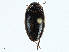  ( - BIOUG99517-G06)  @11 [ ] CreativeCommons - Attribution (2023) CBG Photography Group Centre for Biodiversity Genomics
