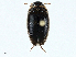  ( - BIOUG99517-G08)  @11 [ ] CreativeCommons - Attribution (2023) CBG Photography Group Centre for Biodiversity Genomics