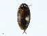  ( - BIOUG99517-G09)  @11 [ ] CreativeCommons - Attribution (2023) CBG Photography Group Centre for Biodiversity Genomics