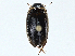  ( - BIOUG99517-G11)  @11 [ ] CreativeCommons - Attribution (2023) CBG Photography Group Centre for Biodiversity Genomics