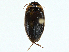  ( - BIOUG99517-H01)  @11 [ ] CreativeCommons - Attribution (2023) CBG Photography Group Centre for Biodiversity Genomics