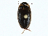  ( - BIOUG99517-H05)  @11 [ ] CreativeCommons - Attribution (2023) CBG Photography Group Centre for Biodiversity Genomics
