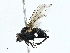  ( - BIOUG99518-B05)  @11 [ ] CreativeCommons - Attribution (2023) CBG Photography Group Centre for Biodiversity Genomics