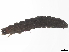  ( - BIOUG99519-G11)  @11 [ ] CreativeCommons - Attribution Non-Commercial Share-Alike (2023) CBG Photography Group Centre for Biodiversity Genomics