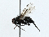  ( - BIOUG99520-A02)  @11 [ ] CreativeCommons - Attribution (2023) CBG Photography Group Centre for Biodiversity Genomics