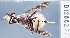  ( - 01288277-F48-CONS-23MAR16)  @11 [ ] Attribution (by) (2021) Andrea P. Drager MS State