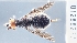  ( - 01288277-F48-CONS-23MAR16)  @11 [ ] Attribution (by) (2021) Andrea P. Drager MS State