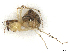  ( - CBG-A58677-H09)  @11 [ ] CreativeCommons - Attribution (2025) CBG Photography Group Centre for Biodiversity Genomics