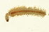  ( - TBLABR-001)  @13 [ ] CreativeCommons - Attribution (2009) Unspecified Centre for Biodiversity Genomics