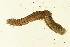  ( - TBLABR-011)  @12 [ ] CreativeCommons - Attribution (2009) Unspecified Centre for Biodiversity Genomics