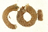  ( - TBLABR-022)  @13 [ ] CreativeCommons - Attribution (2009) Unspecified Centre for Biodiversity Genomics