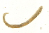  ( - TBLABR-028)  @12 [ ] CreativeCommons - Attribution (2009) Unspecified Centre for Biodiversity Genomics
