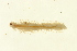  ( - TBLABR-032)  @13 [ ] CreativeCommons - Attribution (2009) Unspecified Centre for Biodiversity Genomics