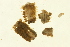  ( - TBLABR-034)  @12 [ ] CreativeCommons - Attribution (2009) Unspecified Centre for Biodiversity Genomics