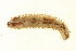  ( - TBLABR-056)  @13 [ ] CreativeCommons - Attribution (2009) Unspecified Centre for Biodiversity Genomics