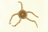  ( - TBLABR-087)  @12 [ ] CreativeCommons - Attribution (2009) Unspecified Centre for Biodiversity Genomics