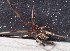  ( - LP2)  @12 [ ] Unspecified (default): All Rights Reserved  Unspecified Unspecified