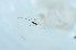  ( - LP4)  @12 [ ] Unspecified (default): All Rights Reserved  Unspecified Unspecified
