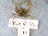  ( - MTI-SCCWRP-00090)  @13 [ ] CreativeCommons - Attribution Non-Commercial Share-Alike (2009) Cheryl A. Brantley Los Angeles County Sanitation District