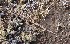  ( - MACN-Bar-Herp-ct 00143)  @12 [ ] Unspecified (default): All Rights Reserved  Unspecified Unspecified