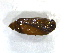  ( - LC00726)  @11 [ ] CreativeCommons  Attribution Share-Alike (2019) M. Volf German Centre for Integrative Biodiversity Research (iDiv) Halle-Jena-Leipzig