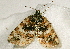  ( - AVBC 057-10)  @12 [ ] CreativeCommons - Attribution (2010) Unspecified Centre for Biodiversity Genomics