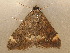  ( - AVBC 1373-12)  @13 [ ] CreativeCommons - Attribution (2012) Libby Avis Centre for Biodiversity Genomics