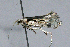  ( - AVBC 207-10)  @12 [ ] CreativeCommons - Attribution (2010) CBG Photography Group Centre for Biodiversity Genomics