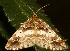  ( - AVBC 029-10)  @12 [ ] CreativeCommons - Attribution (2010) Unspecified Centre for Biodiversity Genomics