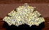  ( - AVBC 335-10)  @12 [ ] CreativeCommons - Attribution (2010) CBG Photography Group Centre for Biodiversity Genomics