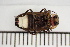  ( - MSMN-24-01-CM)  @11 [ ] CreativeCommons  Attribution Non-Commercial (by-nc) (2024) The Xerces Society The Xerces Society