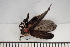  ( - MSMN-24-03-CM)  @11 [ ] CreativeCommons  Attribution Non-Commercial (by-nc) (2024) The Xerces Society The Xerces Society